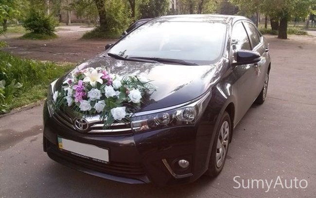 Аренда Toyota Corolla New на свадьбу Сумы